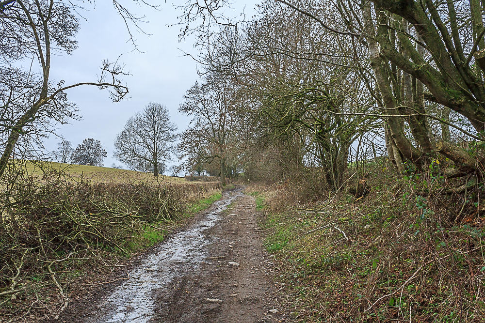 Clough Lane Clough Lane